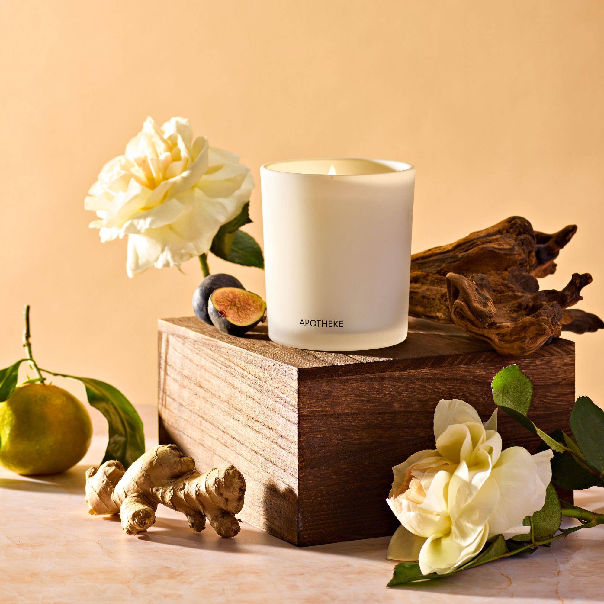 Cedarwood Ginger Classic Candle – MARANTZ COLLECTIVE
